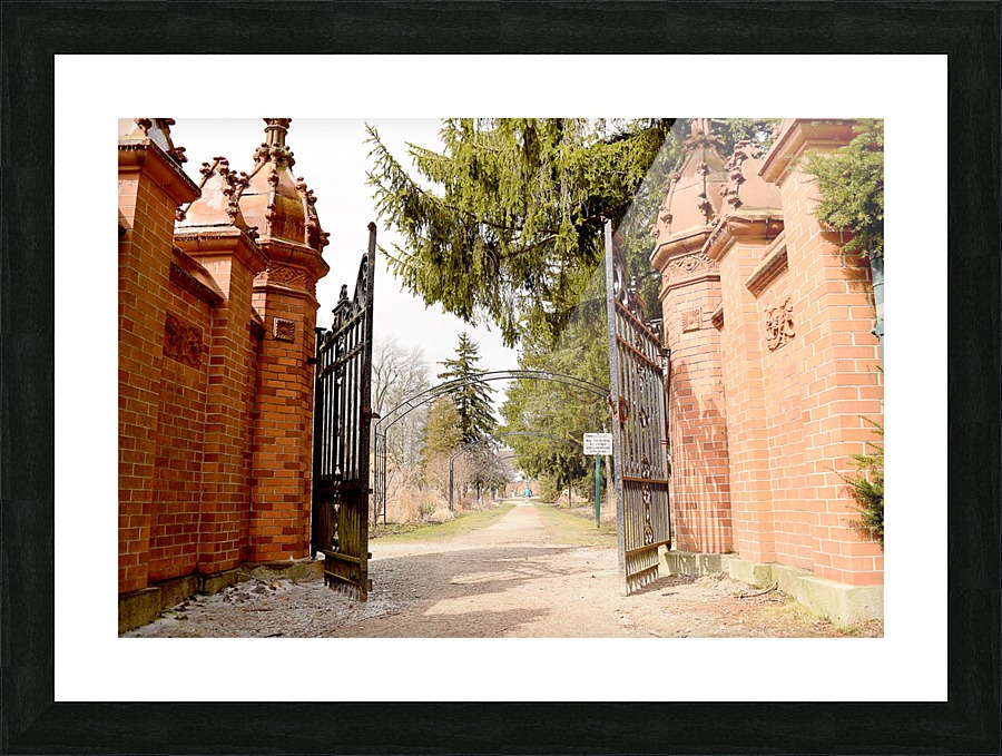  Fine Art print