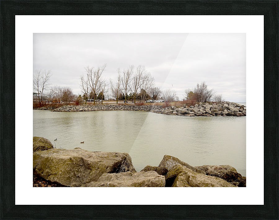  Fine Art print