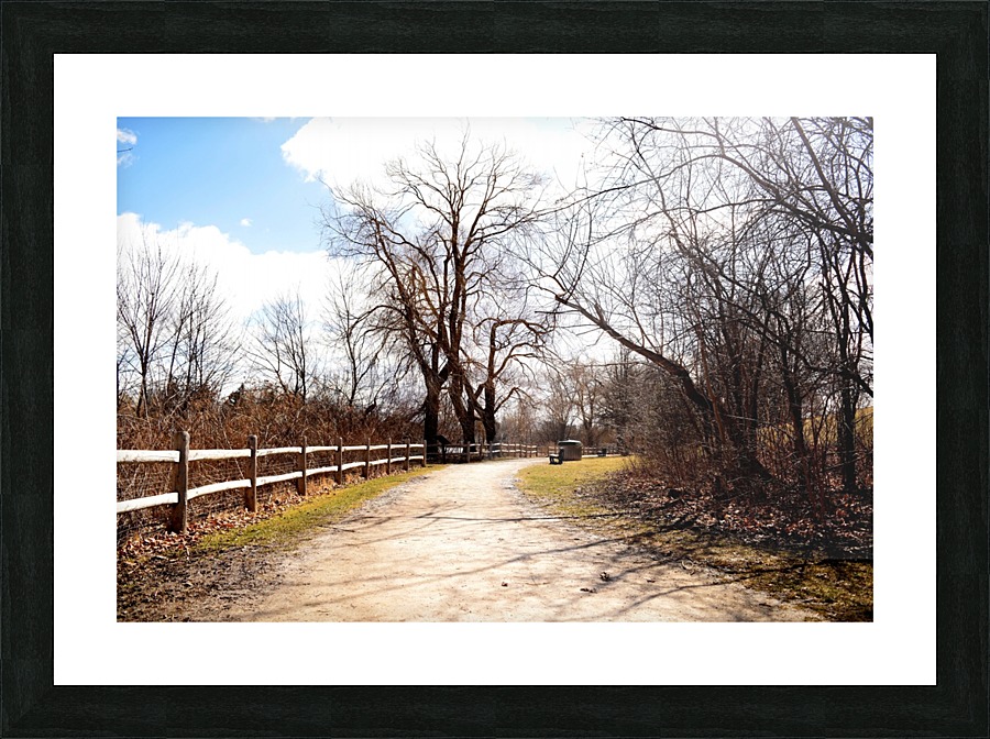  Fine Art print