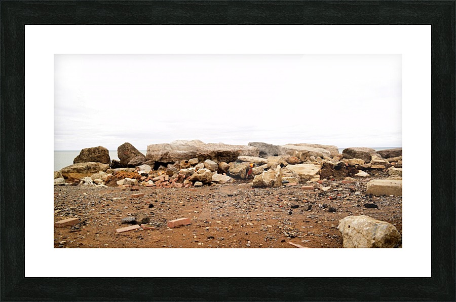  Fine Art print