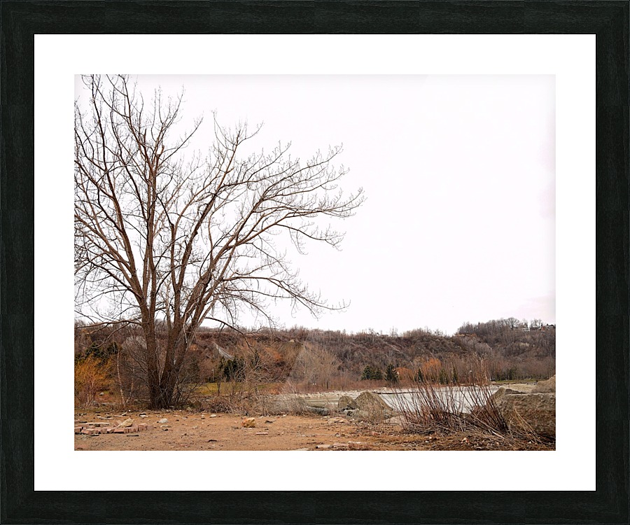  Fine Art print