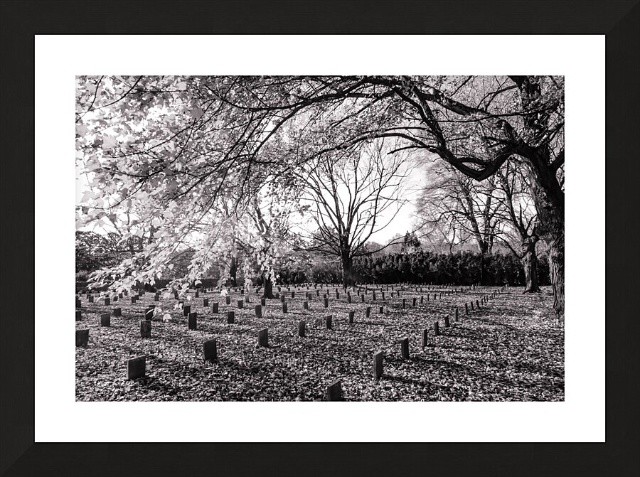 lynchburg old city cemetery BWpink Picture Frame print