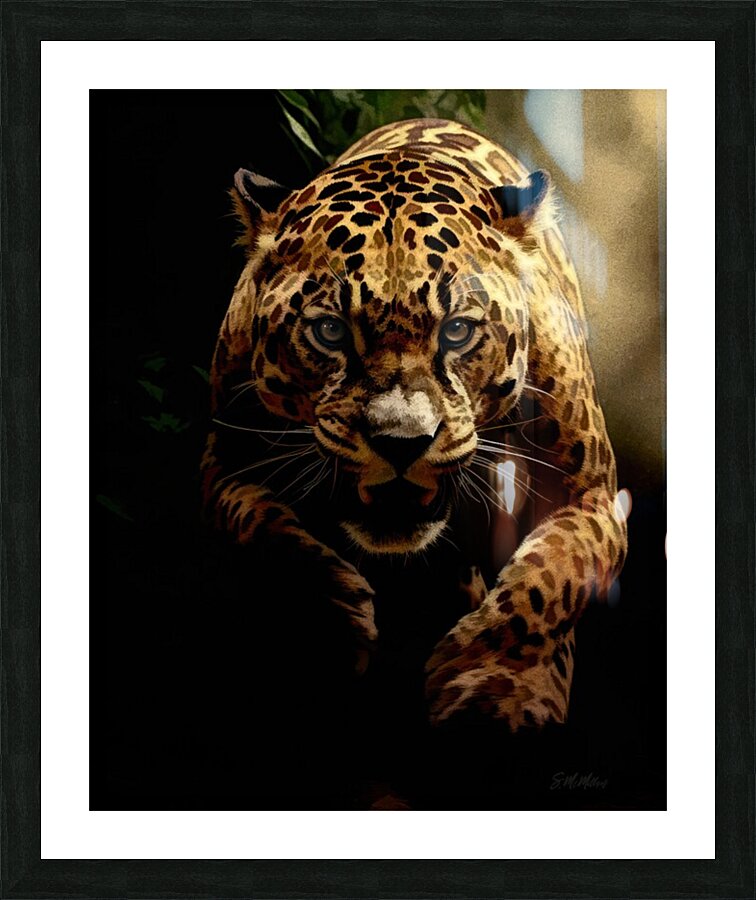 Jaguar on the Hunt  Picture Frame print