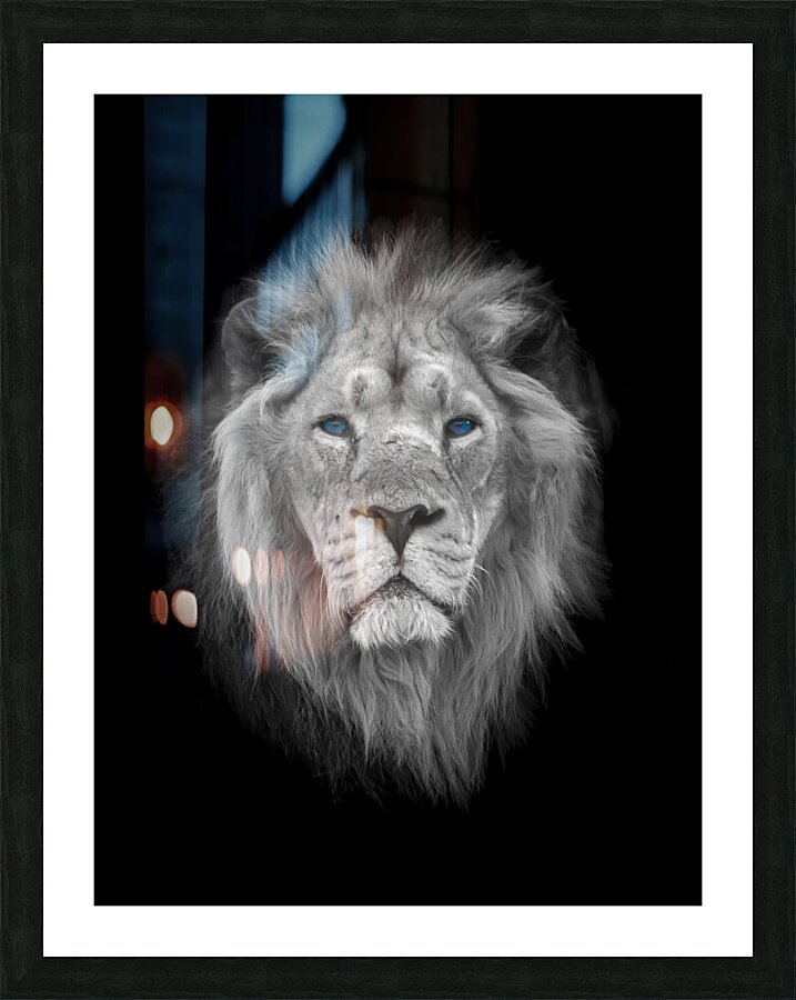  Fine Art print