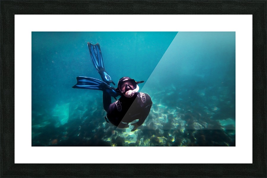 freedive Picture Frame print