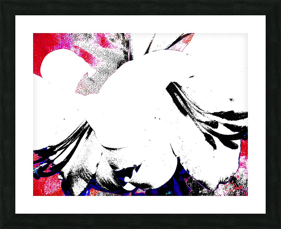 Abstract Black and White Lilies Picture Frame print