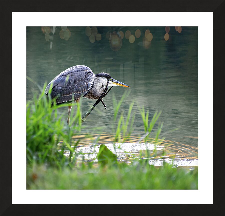 Peaks of Otter Heron Forging Picture Frame print
