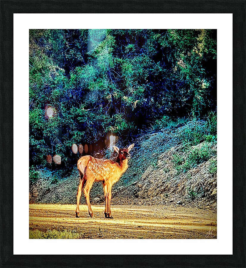 New Light Picture Frame print