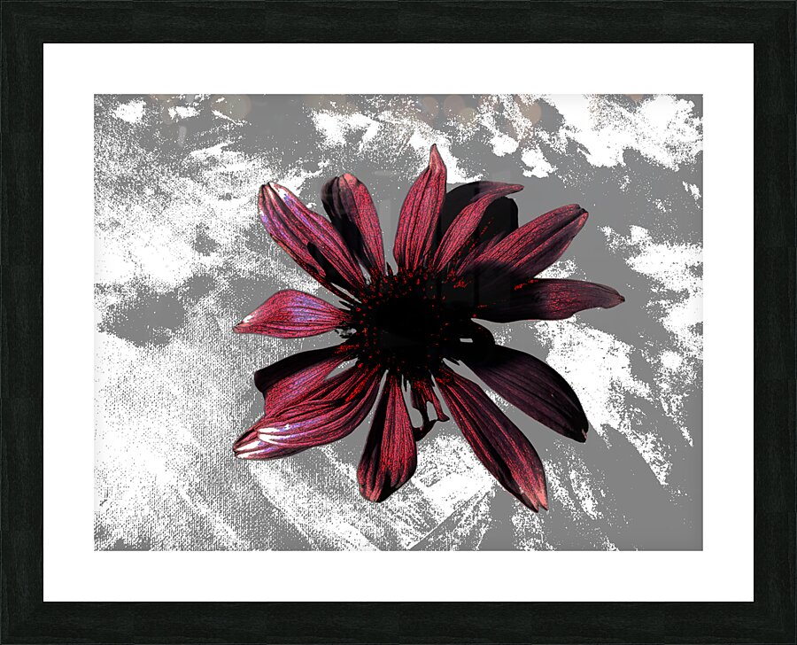 Abstract Textured Maroon Cone Flower Picture Frame print