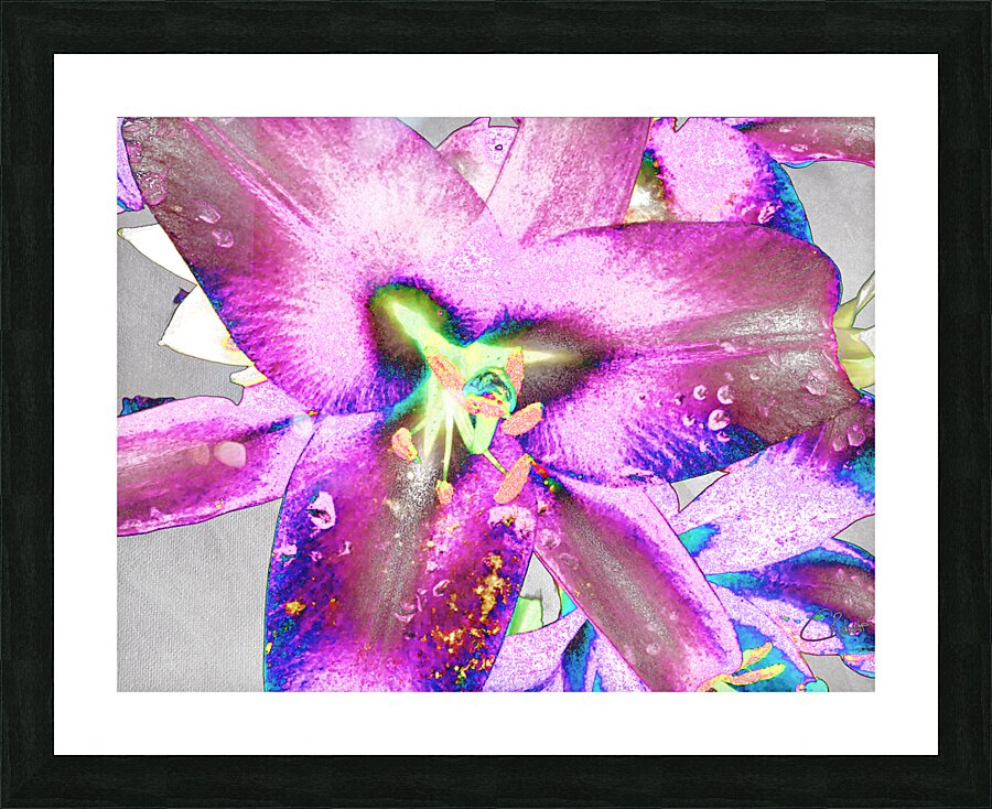 Abstract Colour Popping Lilies  Picture Frame print