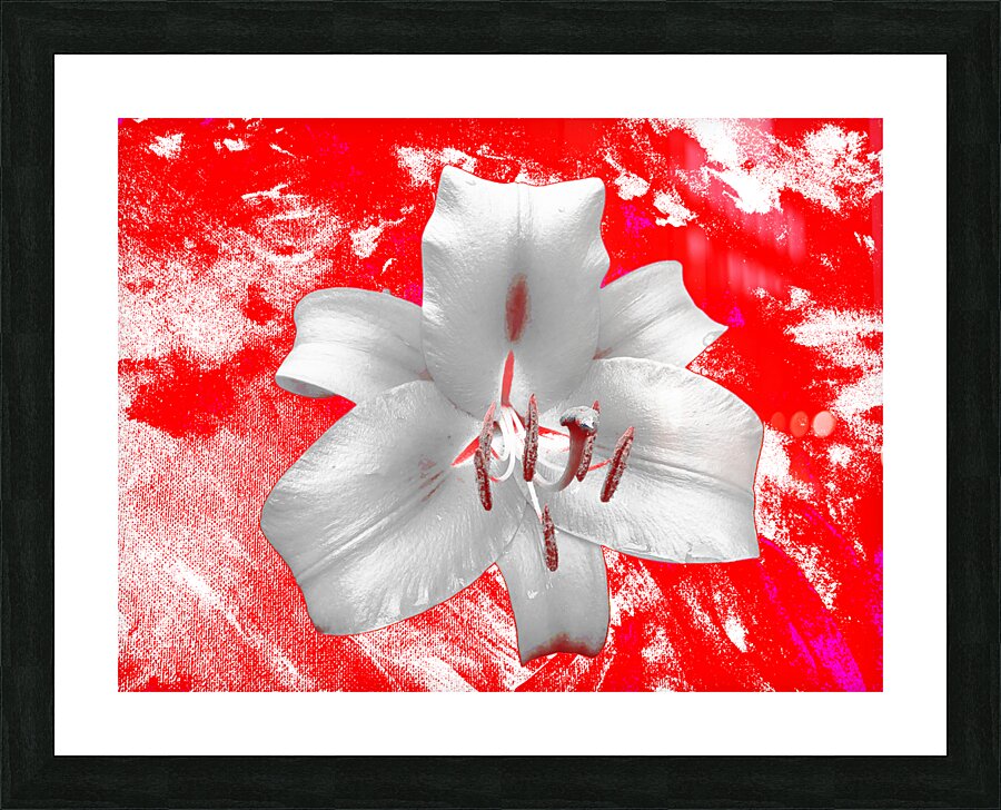 Abstract Lily Flower on a Red Abstract Background Picture Frame print