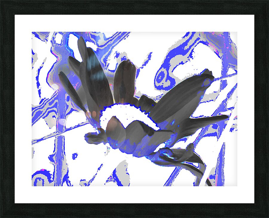  Abstract Wild Daisy Flower Picture Frame print