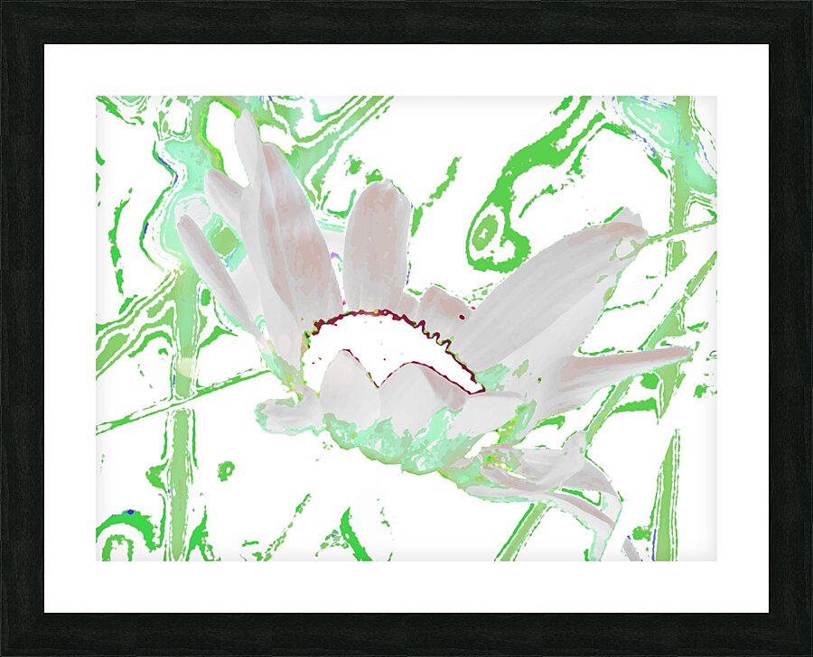Abstract Green and White Daisy Picture Frame print