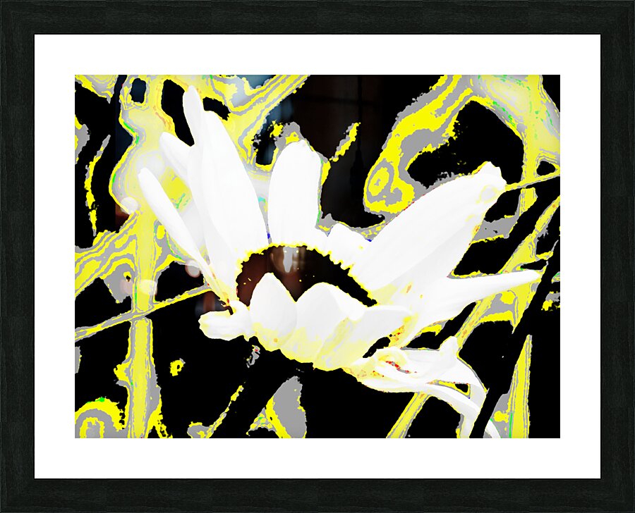 Abstract Neon Daisy Flower Picture Frame print