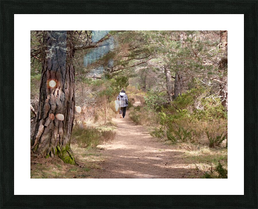  A Walk in Nature in the Scottish Highlands Picture Frame print