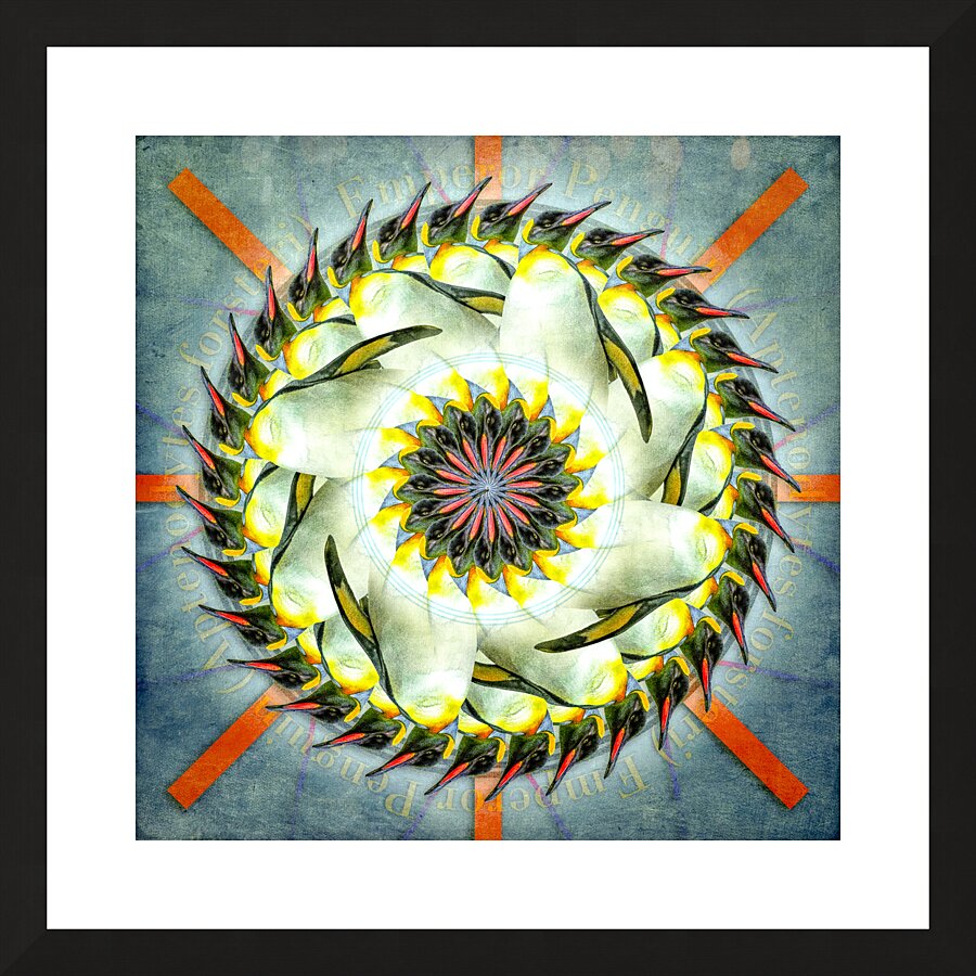 Emperor Penguin Picture Frame print