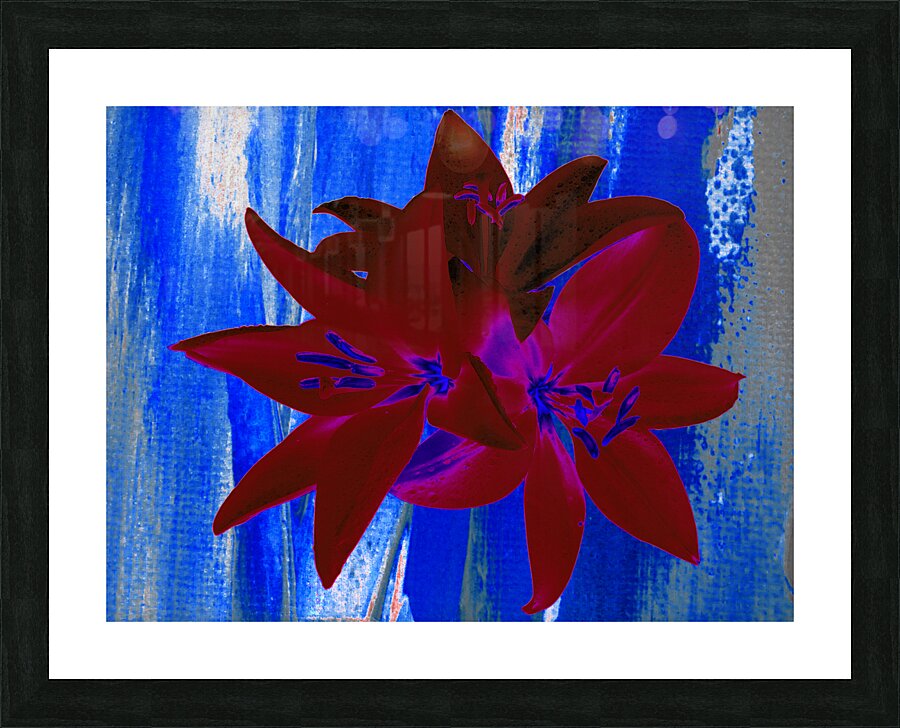 Abstract  Bright Red Trio of Lilies Picture Frame print