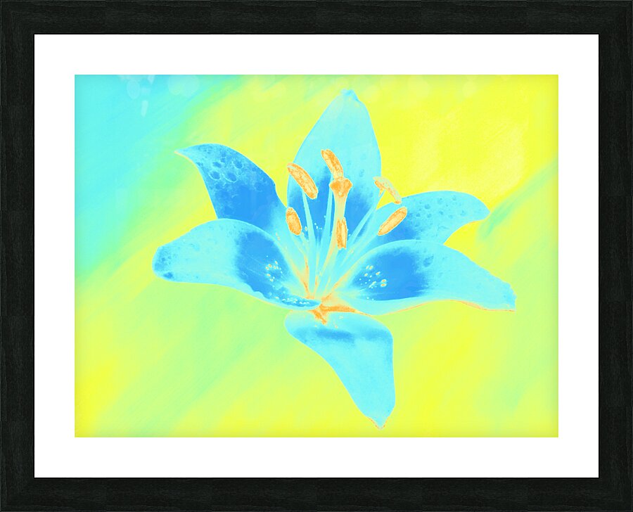 Abstract Vibrant Blue and Yellow Single Lily Flower Picture Frame print