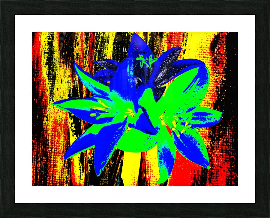Abstract  Bright Colourful Trio of Lilies Picture Frame print
