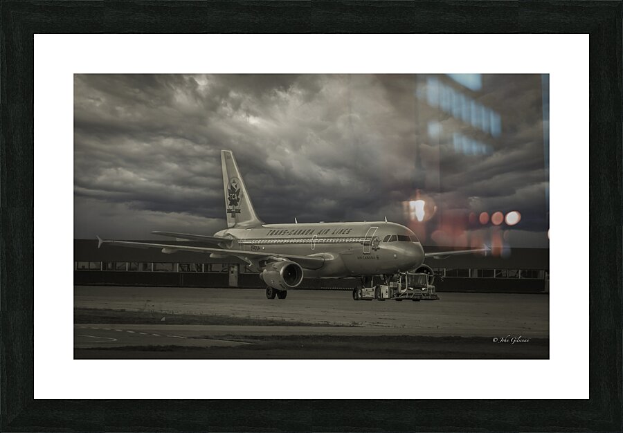 10045 Air Canada B Airbus 319 TCA Picture Frame print