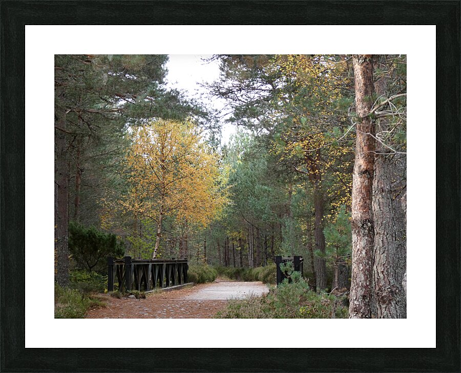  The Bridge in the Woods to the Scottish Highlands Picture Frame print