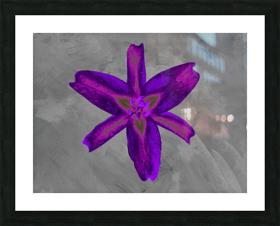   Abstract  Stunning Purple Lily Picture Frame print