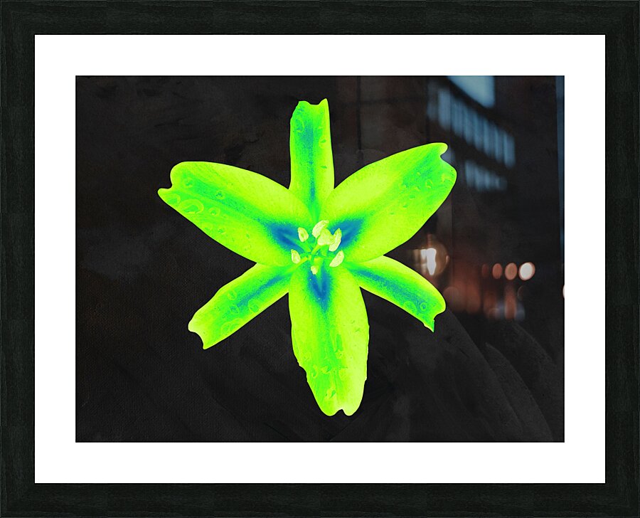  Abstract  Stunning Glowing Green Lily Picture Frame print