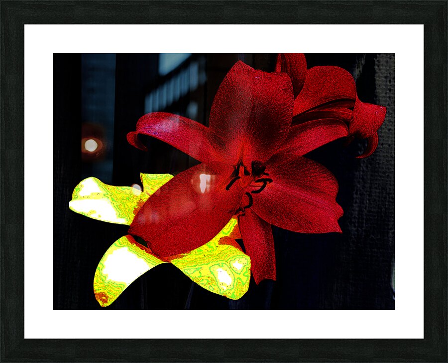 Cool Contemporary Dark Lily Flowers Picture Frame print