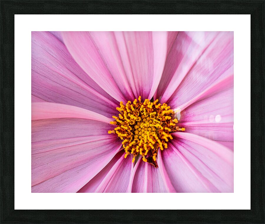 The Centre Picture Frame print