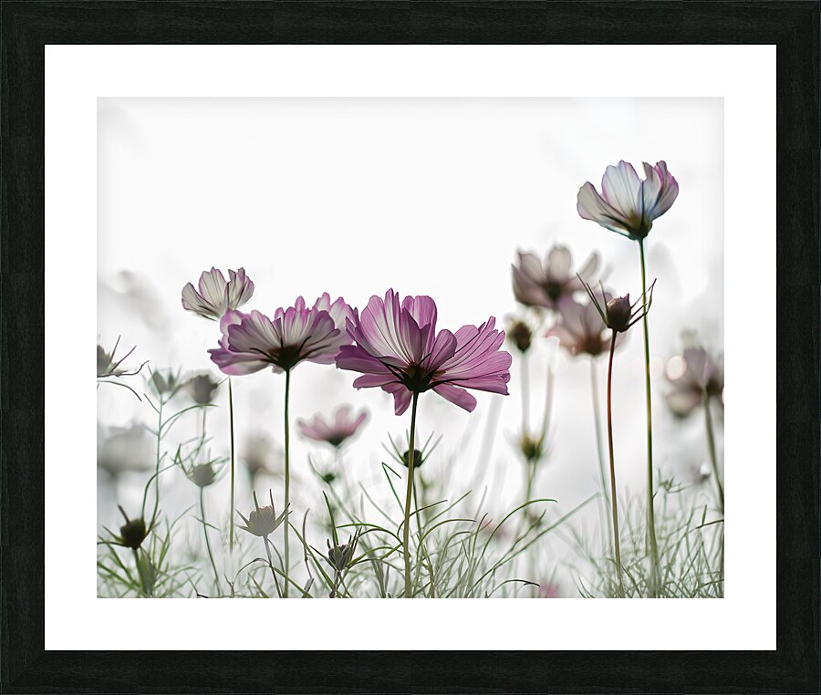 Cosmo Picture Frame print