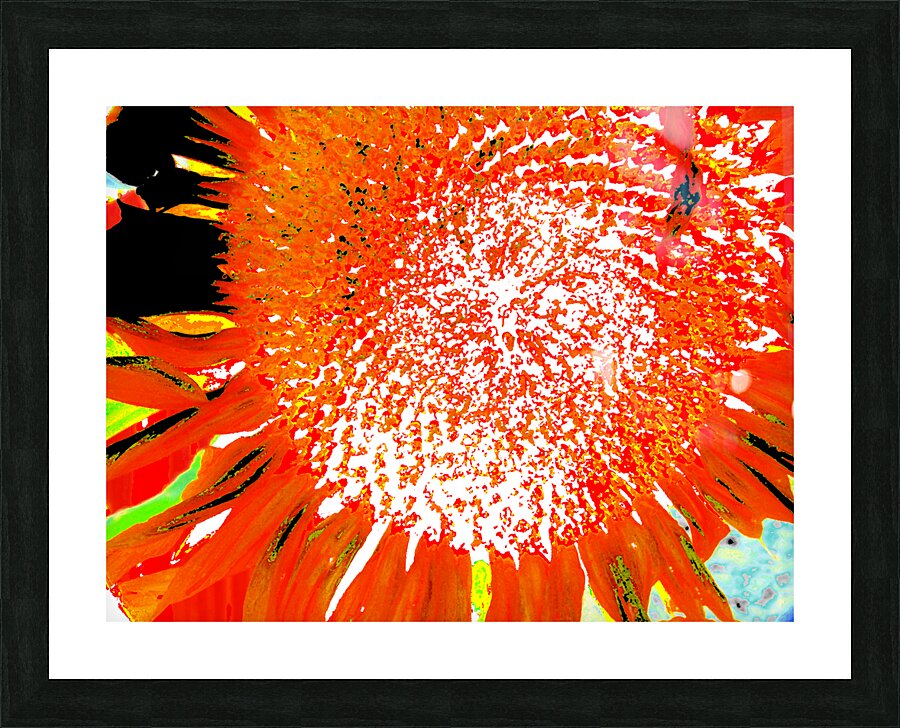 Abstract Vibrant Sunflower  Picture Frame print