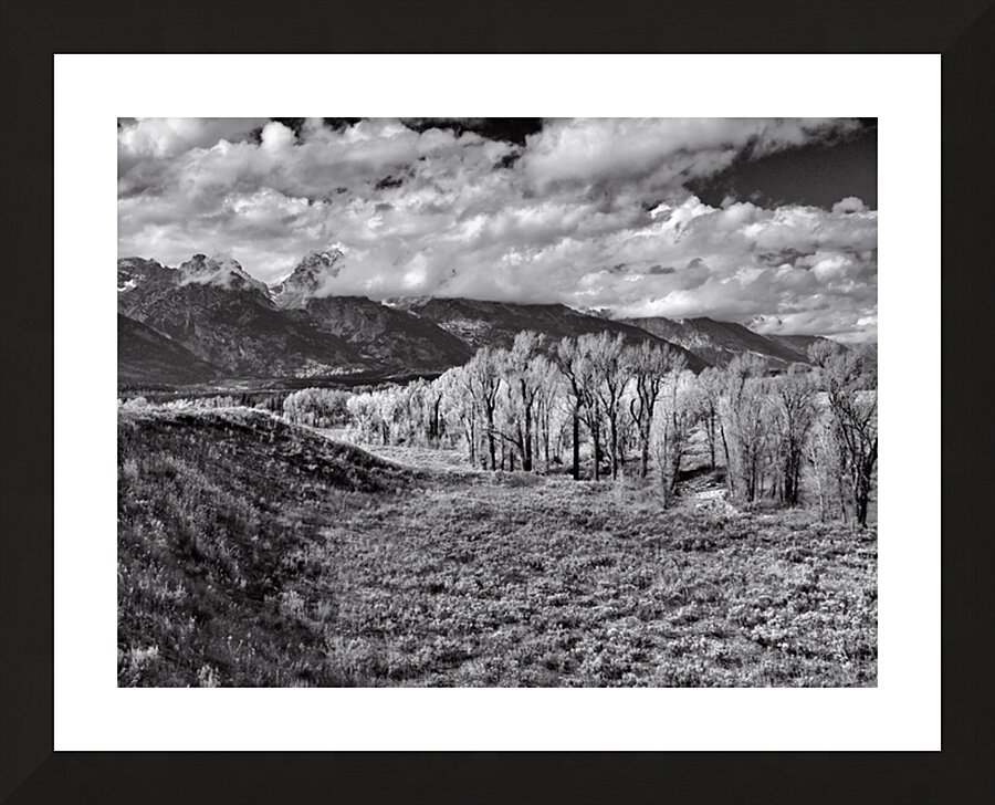 Teton Mountain  Valley View in Black and White Picture Frame print