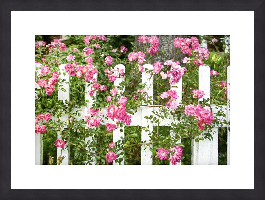 Fancy Fence Picture Frame print