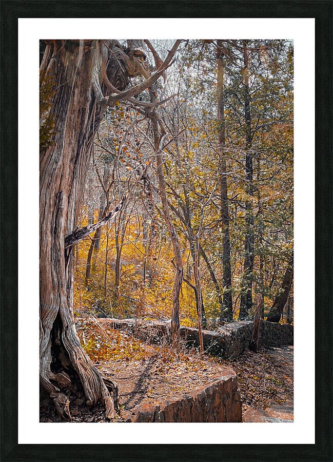 Autum Forest Picture Frame print