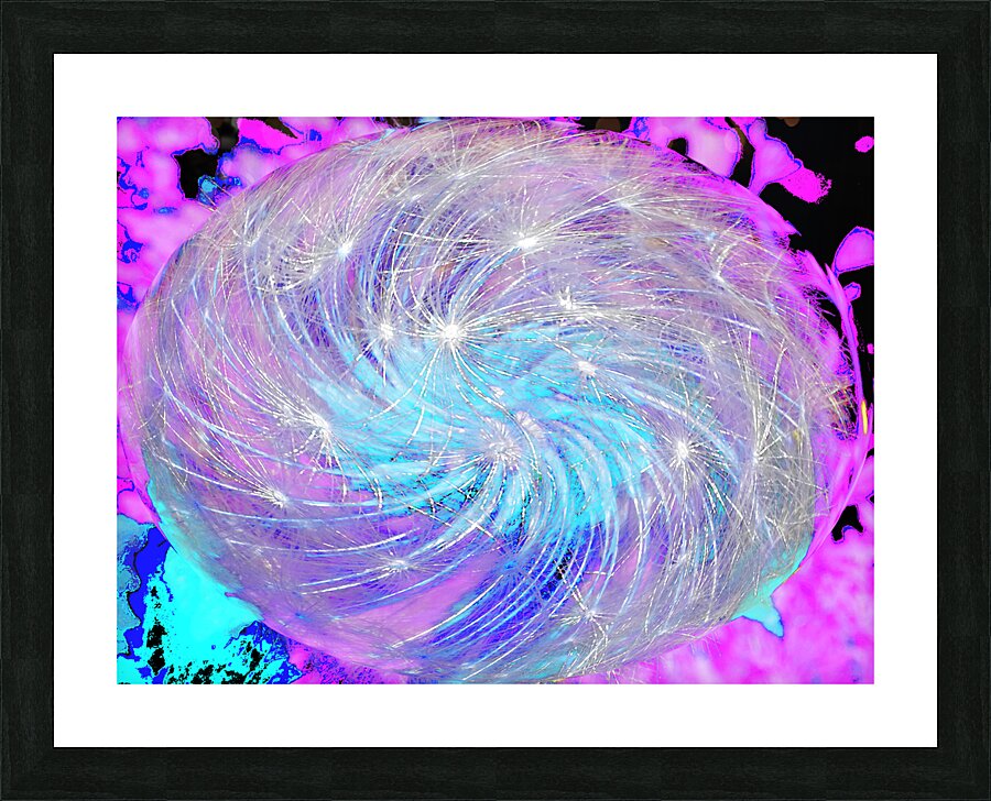 Abstract Swirling Dynamic Dandelion Picture Frame print