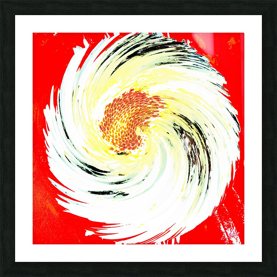  Abstract Swirling Daisy Flower Picture Frame print