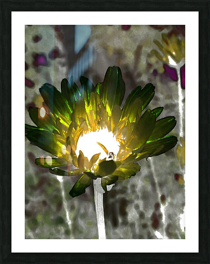 Abstract Impressionistic Glowing Illuminated Daisy Flower Picture Frame print
