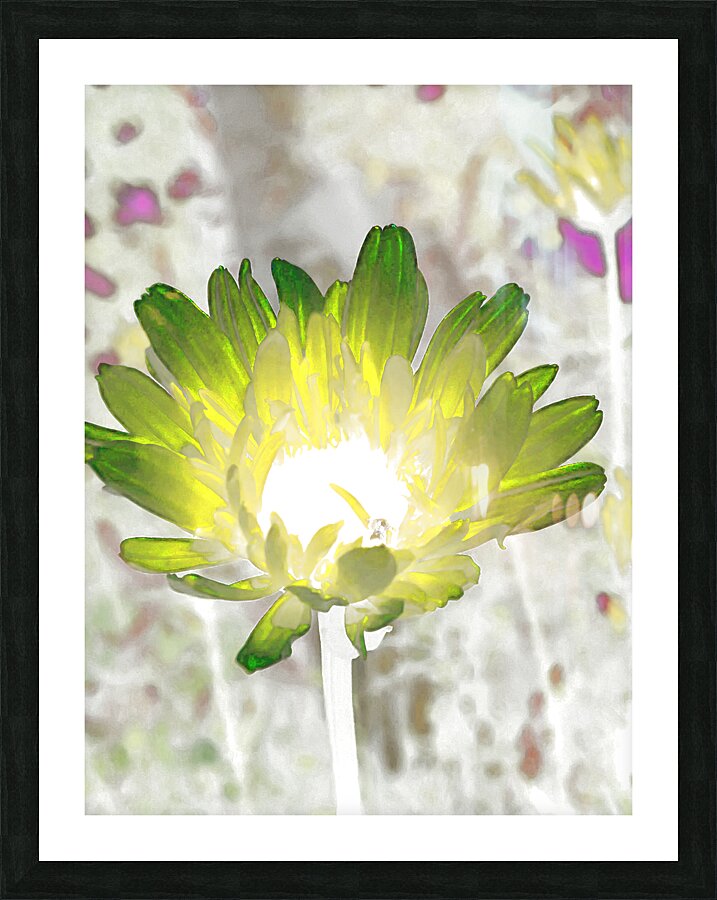 Abstract Impressionistic Illuminated Daisy Flower Picture Frame print
