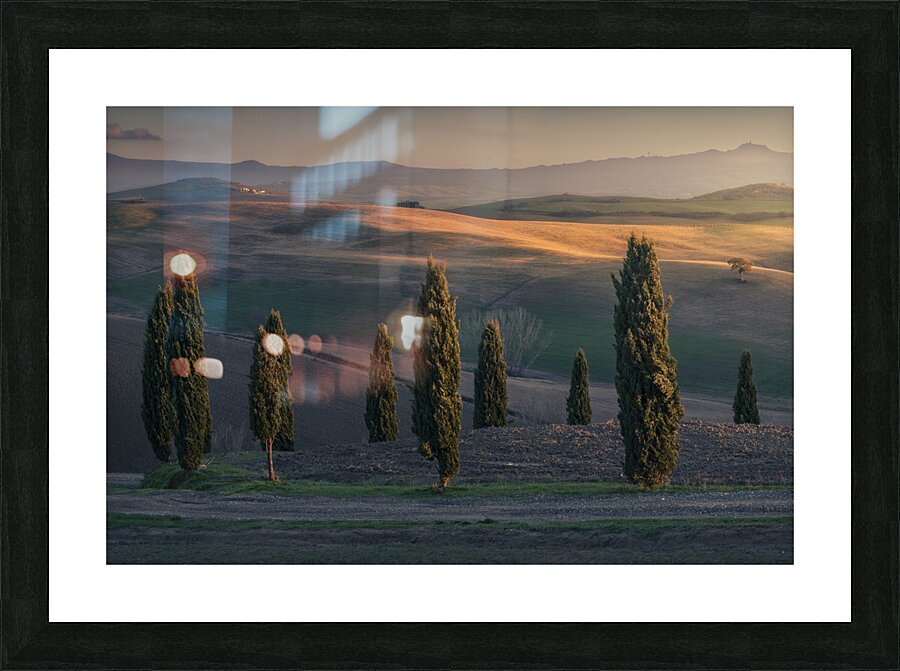Cypresses of Orcia Valley and the last lights of the sunset Picture Frame print