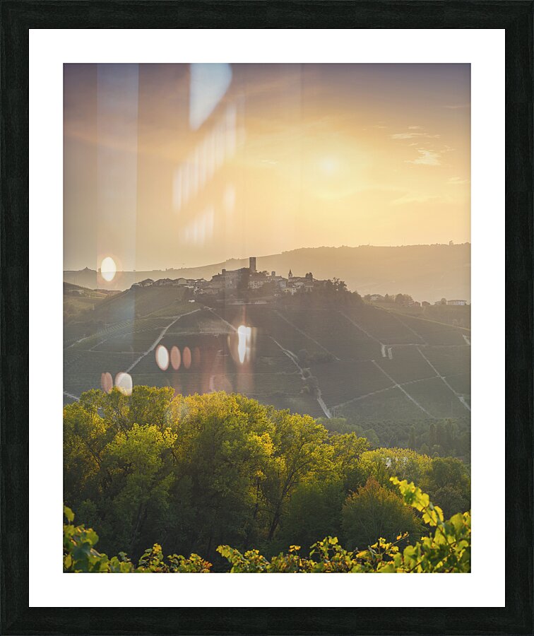 Langhe vineyards landscape and Castiglione Falletto village Picture Frame print