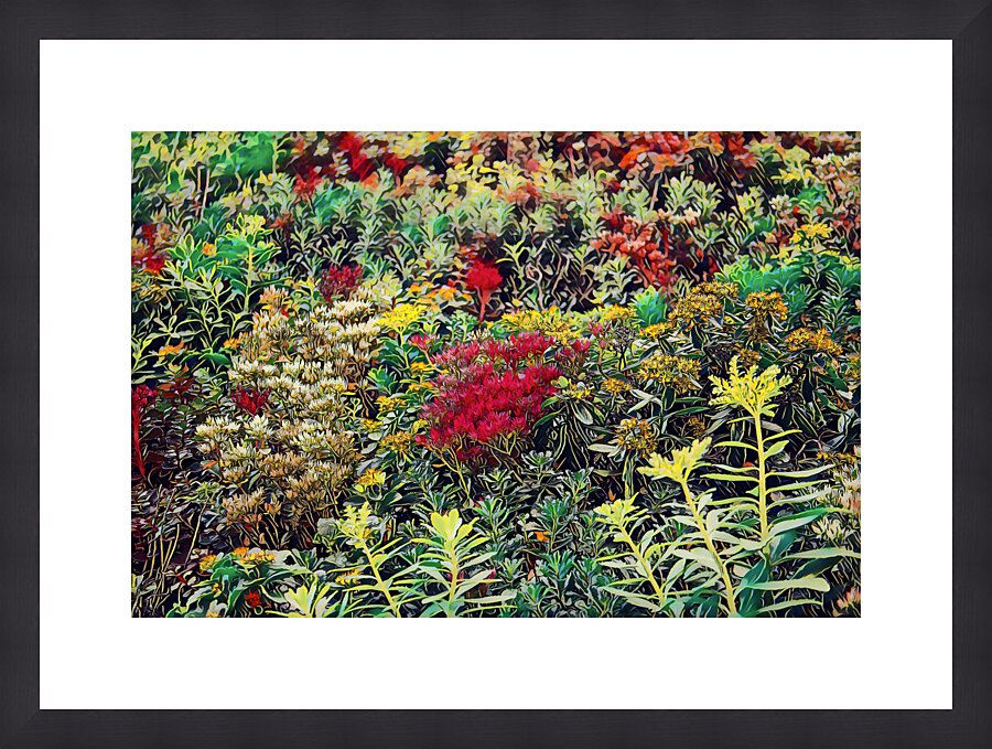 Ground Cover Up the Wall  Framed Print Print