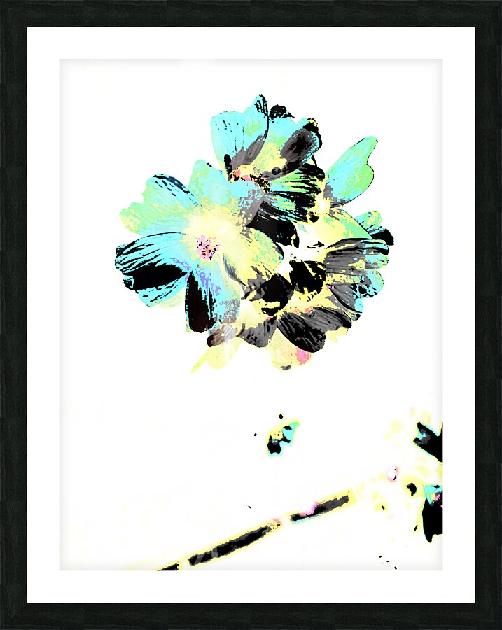   Abstract Contrasting Marshmallow Flowers Picture Frame print