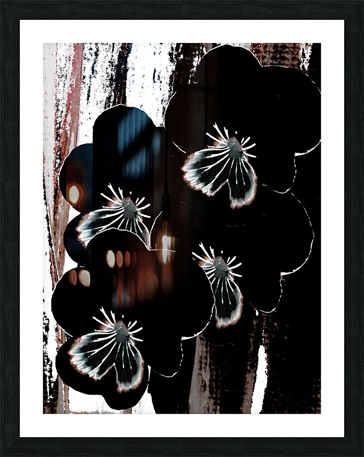 Abstract Contrasting Pansy Bouquet  Picture Frame print