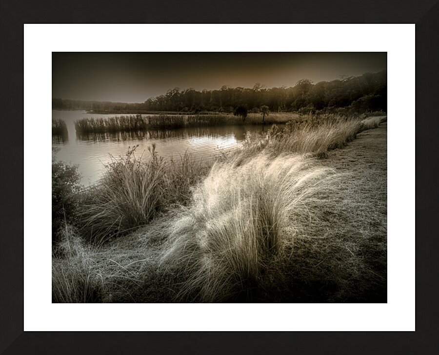 Glow of Winter on the Marshlands Picture Frame print