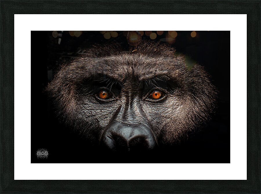 Gaze of Bahati Picture Frame print