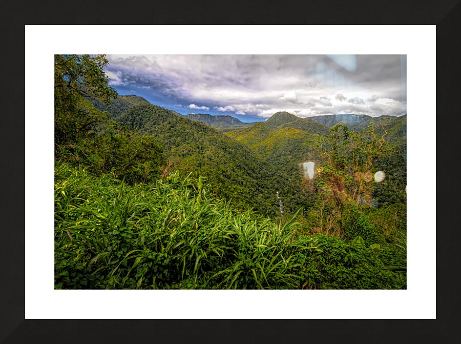 Costa Rica Colors of the Rainforest  Framed Print Print