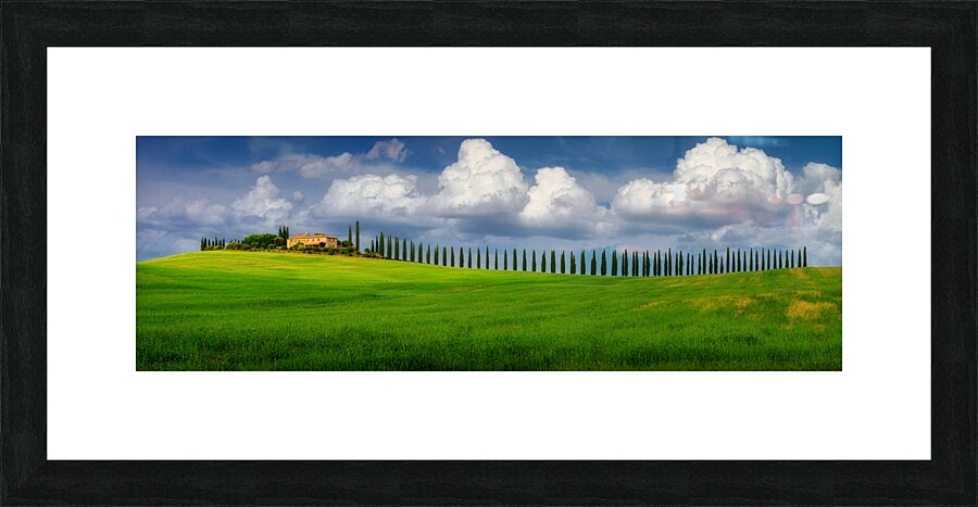 Viale di Cipressi Picture Frame print