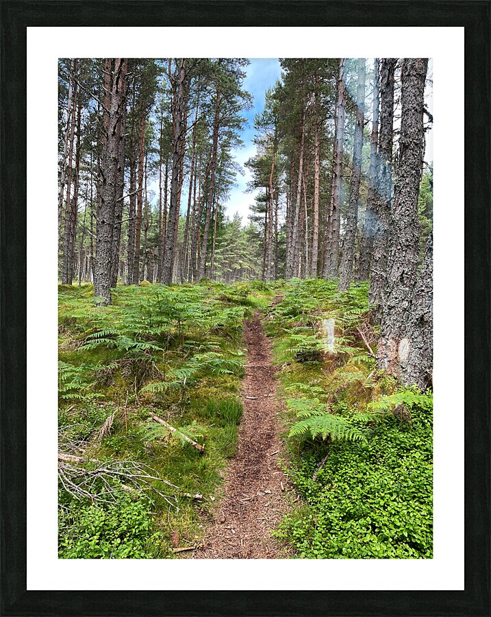 On the Nature Trail in the Scottish Highlands Picture Frame print