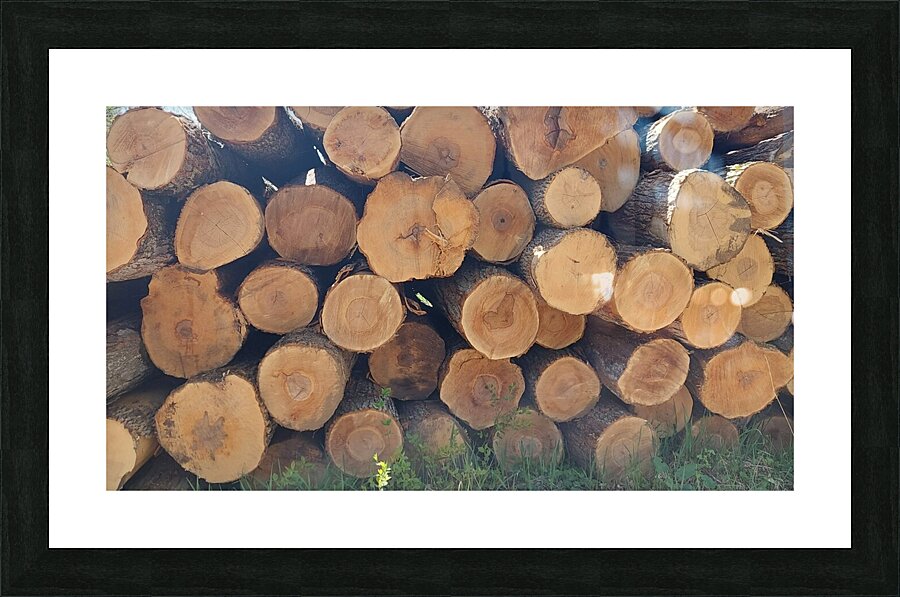 Winter Wood Picture Frame print