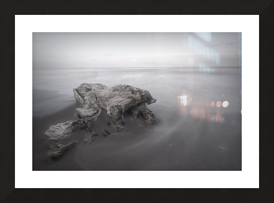 Cahuita Beach Driftwood White on White  Framed Print Print